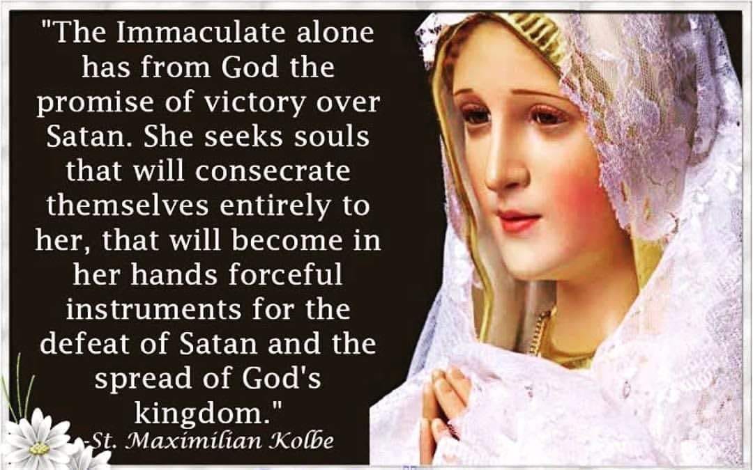 Act Of Consecration To Mary Immaculate St Maximilian Kolbe