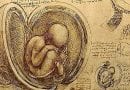 Leonardo da Vinci – The Foetus in the Womb…. Selected as Greatest Works of Art Ever – Sad that the Beauty is Found in Art and Not in Life