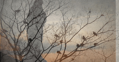 Birds go Silent on Apparition Hill – Haunts Atheist Doctor Investigating Visionaries …Converts to Catholicism