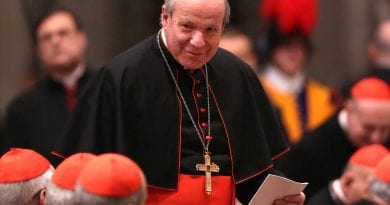 Cardinal Schönborn: “Islam in an internal crisis and a great upheaval”