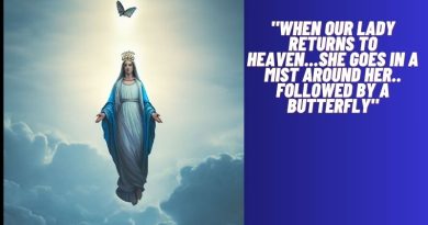 “WHEN OUR LADY RETURNS TO HEAVEN…SHE GOES IN A MIST AROUND HER.. FOLLOWED BY A BUTTERFLY”
