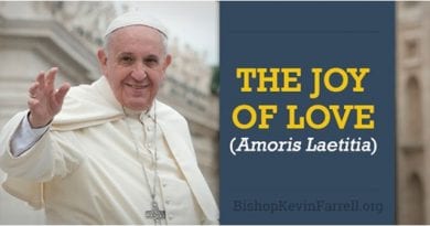 For Many Catholics This Issue is a Big Deal…Cardinal Parolin: Amoris Laetitia is a ‘paradigm shift, a new approach”