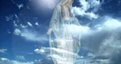 Do not forget the importance of the examination of conscience…Before sleep, recite this prayer to the Heavenly Mother, for peace and tranquility.
