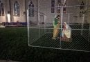 Church Puts Holy Family in Barbed Wire Cage.. “On our lawn tonight we placed The Holy Family in ICE detention.”