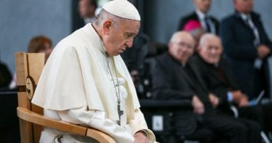 “Make no mistake. This is a coordinated attack…If the US bishops do not, as a body, stand up to defend the Holy Father in the next 24 hours, we shall be slipping towards schism”