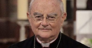 Papal Envoy in Ireland with Pope…”The crisis of the family is devastating…That’s why so many families come to Medjugorje.”