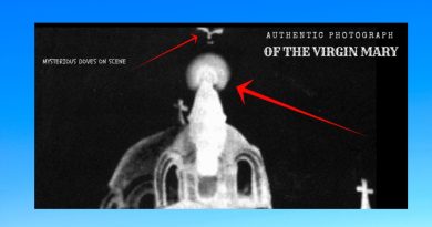 “YES THIS IS THE VIRGIN”…THE UNPRECEDENTED VISUAL EVIDENCE OF THE VIRGIN MARY