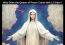 Did you know the number 12 is the number of Bibilical “Perfection.”  The Twelve Star Devotion and the Virgin Mary…A list of Our Lady’s 12 Perfections