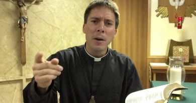 Brown Scapular Promise – Fr. Mark Goring…”If you  die wearing the Scapular you will not suffer the eternal fire.”