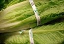 Lettuce Scare on Turkey Day – Do not eat Romaine lettuce…Now linked to E.coli outbreak, 1 in CT infected