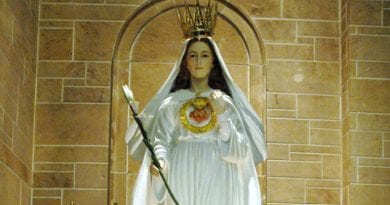 Do you know the story about the apparitions of “Our Lady of America”? …”Pious devotion is now allowed”