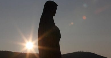 Medjugorje: “The bishops, archbishops and cardinals from Rome have discovered an unknown and hidden reality”
