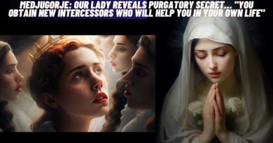 OUR LADY REVEALS PURGATORY SECRET… “YOU OBTAIN NEW INTERCESSORS WHO WILL HELP YOU IN YOUR OWN LIFE”