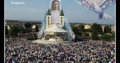 The Jesus Prophecy of Medjugorje…”When my Son was little, he said to me that my children would be numerous and that they would bring me many roses.”