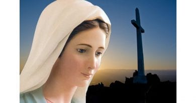 Apparition of Virgin Mary appears to Harvard Professor – “I found myself with the most beautiful woman I could ever imagine” … This is so powerful!