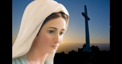 Medjugorje: Suffering, fatigue, and fear: Our Lady tells us how to “heal” from these “diseases” …’Satan so often takes advantage of a person who feels unworthy, who feels depressed, who is ashamed of God’