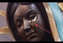 Miracle: USA Catholic Bishop says tears flowing from Our Lady of Guadalupe statue are Olive Oil…Powerful evidence