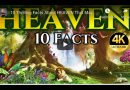 10 Facts About HEAVEN That May SURPRISE You…”Will we have bodies?” …(non-denominational)