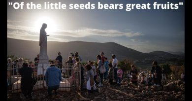 Leaked Vatican Document of Medjugorje Investigation Revealed: “Of the little seeds bears great fruits” – The top 10 conclusions of Vatican commission including-  “Claims of Demonic origins are gratuitous and unfounded!”…First Seven Apparitions supernatual