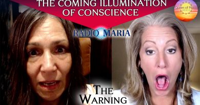 THE WARNING: TESTIMONIES AND PROPHECIES OF THE ILLUMINATION OF CONSCIENCE