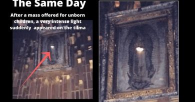 Miracle in the Basilica of Our Lady of Guadalupe – Womb of Virgin Mary Suddenly Glows During Mass Offered for Martyred Children…”Absolutely amazing. Thank you God!”