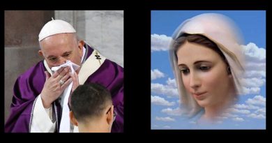 Coronavirus? Pope Francis cancels third day of events amid mysterious illness – Pray this special prayer to St. Roch to end plagues.