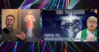 Is this the beginning?  Is the Pandemic a harbinger of the coming “Illumination of the soul”?  Priests now openly discuss critical event. “The Illumination of the Soul will be like a spiritual x-ray that will reveal to each individual which path they are on.” Fr. James Blount and Fr. Goring examine.