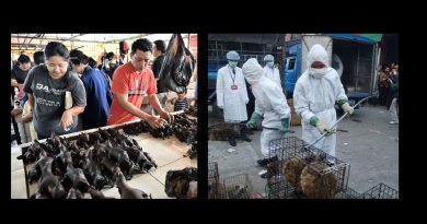 Bioweapon? “Bat virus” experiments in Chinese Labs near Wuhan animal markets may have created the Super- Coronavirus.