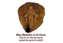 The rose petal from the 1948 shower of rose petals…”Our Lady Mary, Mediatrix of All Grace, Pray for us that we may be spared the worst of COVID-19.”