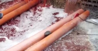 “BLOODY HELL” Israel river turns red with blood ‘like biblical plague of Egypt’