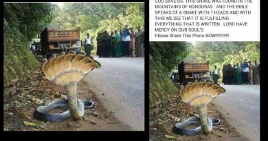 The Seven-Headed Snake from the book of Revelations 12:3 – Snake found in Honduras – Internet legend lives on. Witnesses say   “Proof we are in last days”