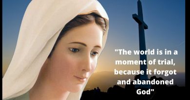 The Coronavirus Pandemic and a nation on fire- The Virgin Mary has warned:   “The world is in a moment of trial because it forgot and abandoned God…This is the time of your trial. With a rosary in hand and love in the heart set out with me.”