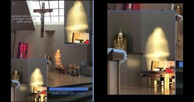 Minnesota Catholic Deacon Post Photo of Image of Blessed Mother – He names her “Our Lady of Light”