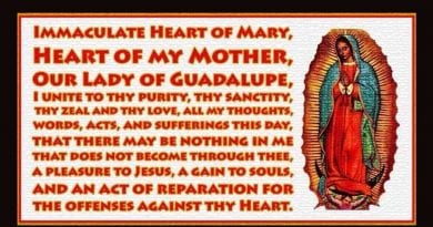 OUR LADY OF GUADALUPE – The Woman of Color who will save the world.  Her hidden message for today’s troubled land.