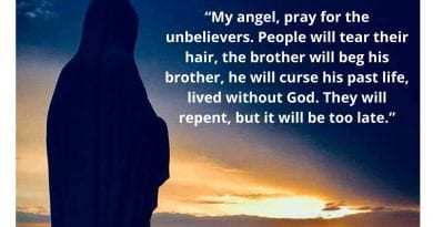The coming tribulation: “The earth was desolate”– “My angel, pray for the unbelievers. People will tear their hair, the brother will beg his brother, he will curse his past life, lived without God. They will repent, but it will be too late.”