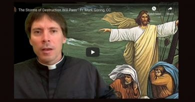 All of Humanity is Contaminated – Fr. Mark Goring, CC – Powerful