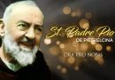 Eight New Year’s “Resolutions” from Padre Pio..”The Palm of glory”