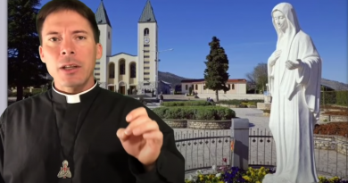 Chastisement Explained – Fr. Mark Goring