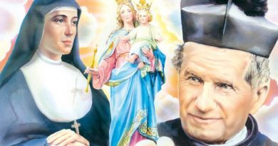 The little-known story told by Saint Bosco: Our Lady from Heaven asks us to recite the “Hail Mary” at the moment of consecration of the host.  There is a great reward if this is done.