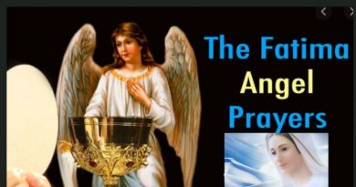 “Angel of Peace” at Fatima gave visionaries a special prayer to heal the world…Say this prayer three times to repair your soul. The Holy Father desires this “in reparation for the outrages, sacrileges and indifference with which He Himself is offended.”