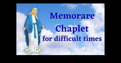 Memorare Chaplet | Prayer in Difficult Times – Pray it today for a special favor