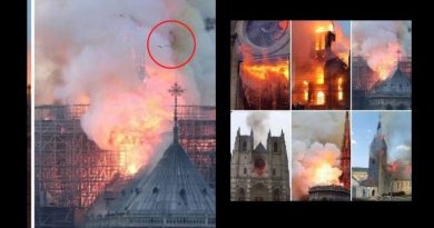 A French Cathedral burns, a mother weeps – Some on social media say photo captured image of the Virgin Mary looking down at the firestorm.