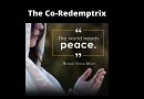 Is Mary a Co-Redemptrix? –  Powerful words from theologians and magisterial statements that support the designation. The 5th Dogma