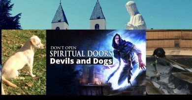 Barking at Unseen Demons: The Dogs of Medjugorje