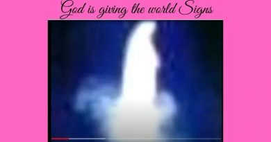 Apparition Video of the Virgin Mary  …Our Lady “Put on the armor” ..”FROM EGYPT TO AMERICA: THE FINAL WARNING”