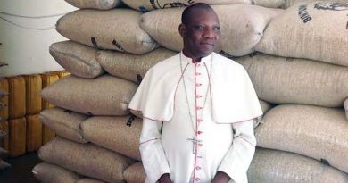 Nigerian Bishop Sees Jesus in vision. Jesus hands bishop a sword that turns into Rosary