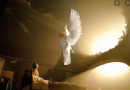 Your Guardian Angel Has Good News for You When You See These Seven Signs