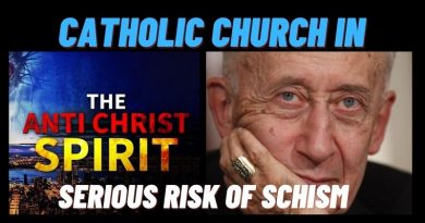 Cardinal Ruini who was chief of Medjugorje investigations speaks of serious risk of schism at the Catholic Church – German Bishops in center of crisis