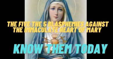 The 5 Blasphemies Against the Immaculate Heart of Mary