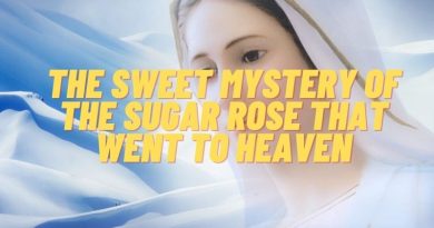 Medjugorje Today: The Sweet Mystery of the Sugar Rose that went to Heaven